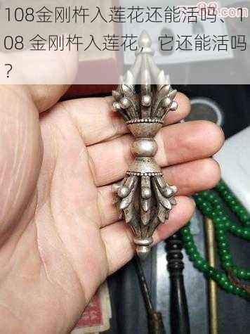 108金刚杵入莲花还能活吗、108 金刚杵入莲花，它还能活吗？