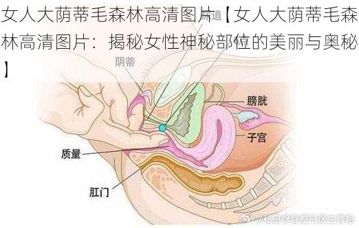 女人大荫蒂毛森林高清图片【女人大荫蒂毛森林高清图片：揭秘女性神秘部位的美丽与奥秘】