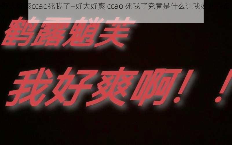 好大好爽ccao死我了—好大好爽 ccao 死我了究竟是什么让我如此兴奋？