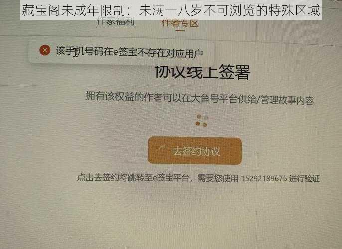 藏宝阁未成年限制：未满十八岁不可浏览的特殊区域