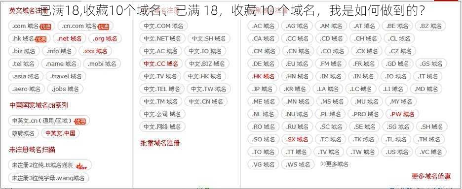 已满18,收藏10个域名、已满 18，收藏 10 个域名，我是如何做到的？