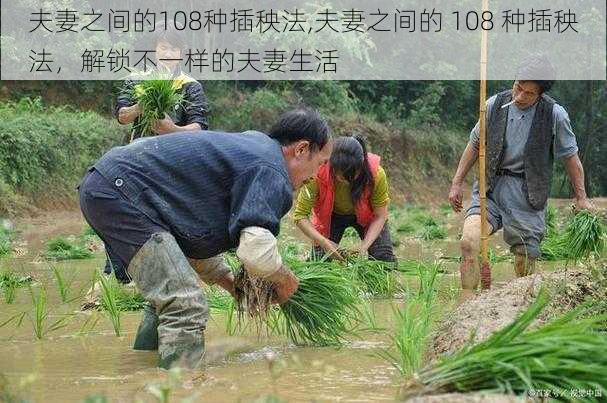 夫妻之间的108种插秧法,夫妻之间的 108 种插秧法，解锁不一样的夫妻生活