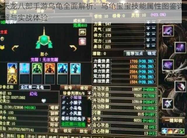 天龙八部手游乌龟全面解析：乌龟宝宝技能属性图鉴详解与实战体验