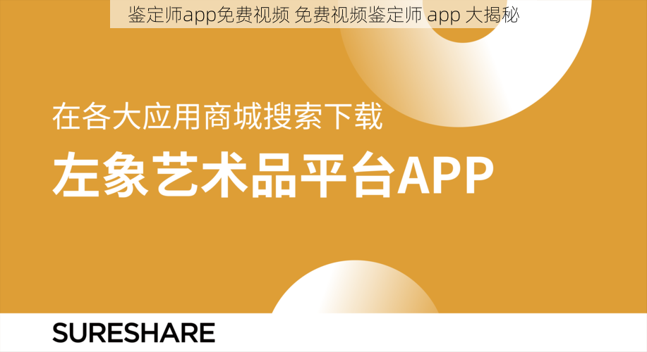 鉴定师app免费视频 免费视频鉴定师 app 大揭秘