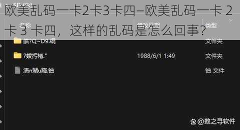 欧美乱码一卡2卡3卡四—欧美乱码一卡 2 卡 3 卡四，这样的乱码是怎么回事？