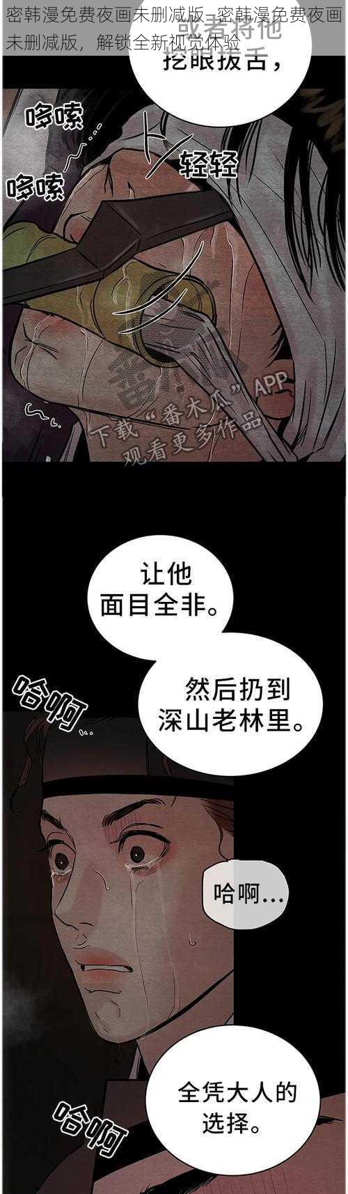 密韩漫免费夜画未删减版—密韩漫免费夜画未删减版，解锁全新视觉体验