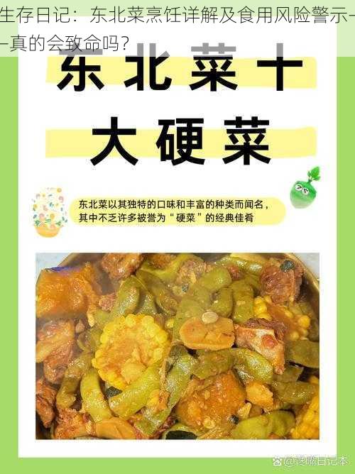 生存日记：东北菜烹饪详解及食用风险警示——真的会致命吗？