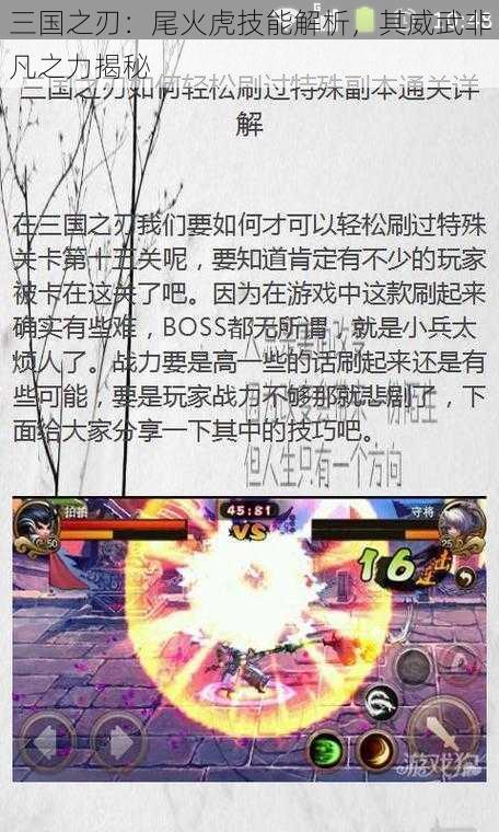 三国之刃：尾火虎技能解析，其威武非凡之力揭秘