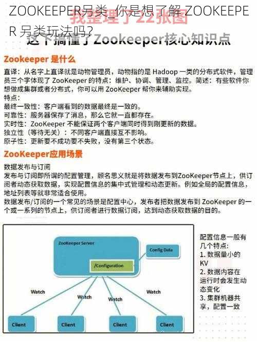 ZOOKEEPER另类_你是想了解 ZOOKEEPER 另类玩法吗？