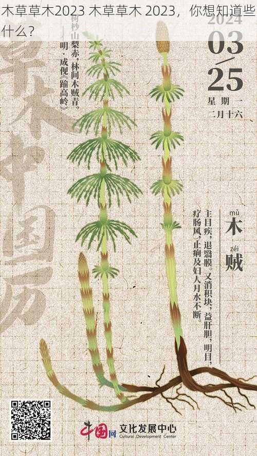 木草草木2023 木草草木 2023，你想知道些什么？