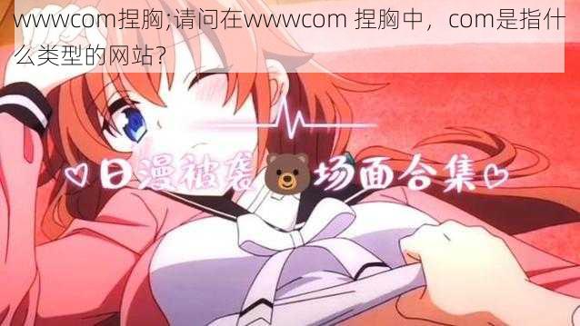 wwwcom捏胸;请问在wwwcom 捏胸中，com是指什么类型的网站？