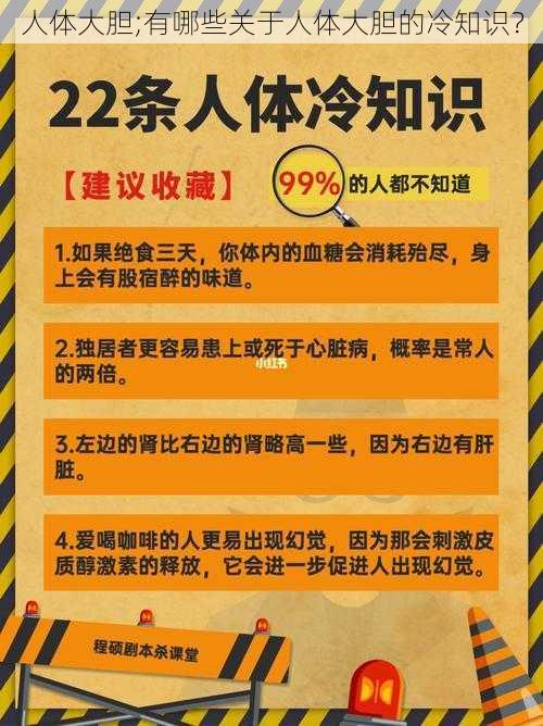 人体大胆;有哪些关于人体大胆的冷知识？