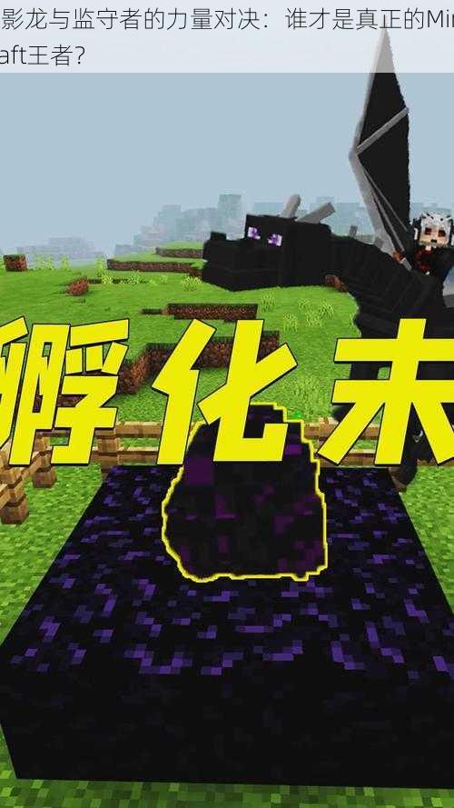 末影龙与监守者的力量对决：谁才是真正的Minecraft王者？