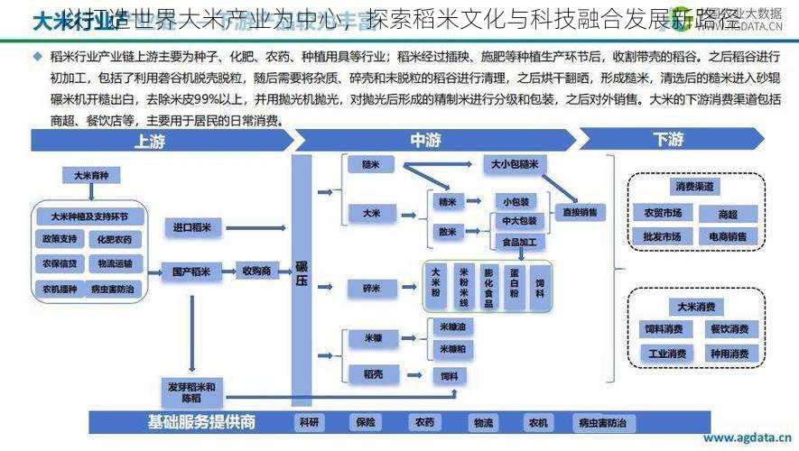 以打造世界大米产业为中心，探索稻米文化与科技融合发展新路径