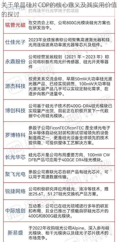 关于单晶硅片COP的核心意义及其实用价值的探讨