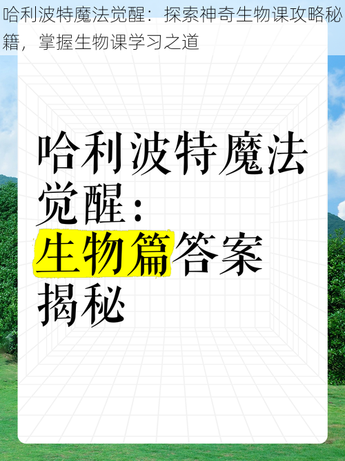 哈利波特魔法觉醒：探索神奇生物课攻略秘籍，掌握生物课学习之道